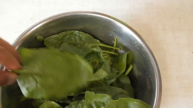 Шпинат Лагос - урожай. Как я употребляю листья шпината