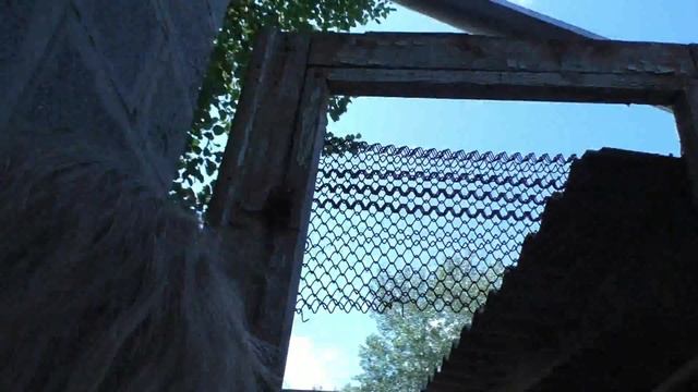 VLOG /ПОЛИНА ПЕРВЫЙ РАЗ САМОСТОЯТЕЛЬНО СНЯЛА ОБЗОР ДАЧИ смотреть онлайн