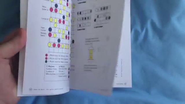 Learn to Burn: The Guitar Speed Manual смотреть онлайн