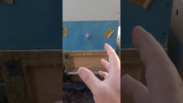 ПЛЁНКА ДО ЗАСТАВНОЙ = ВЕНТИЛЯЦИЯ смотреть онлайн