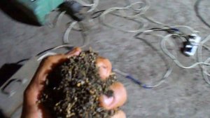 ВЕЕМ ПОДСОЛНУХ! САМОДЕЛЬНАЯ ВЕЯЛКА!