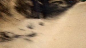 Петрозаводск (Pts) Тень прошлого - то чего не будет уже никогда