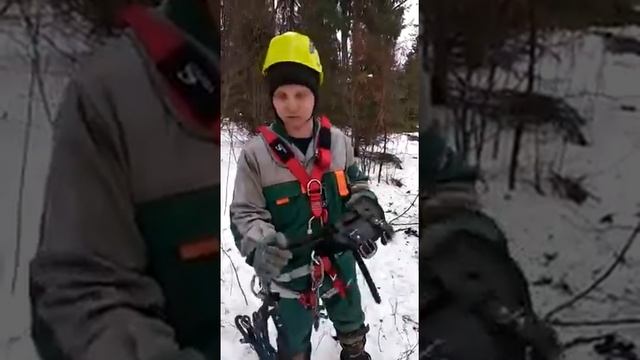 Отзыв о гаффах (когти для подъёма на деревья) смотреть онлайн