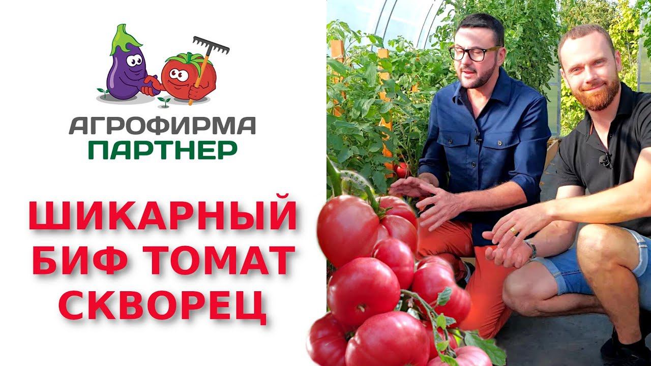 Семена Партнер