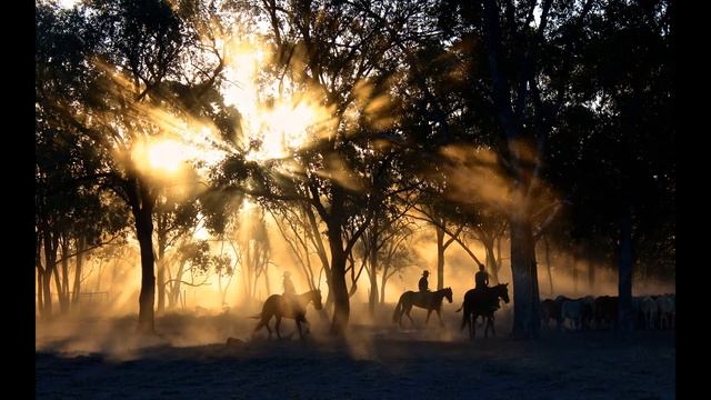 О покупке коня смотреть онлайн