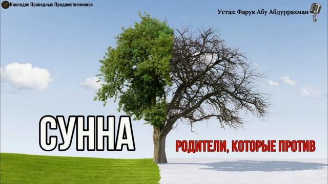 РОДИТЕЛИ, КОТОРЫЕ ПРОТИВ СУННЫ смотреть онлайн