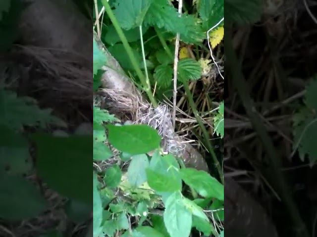 19 июня 2022 г. смотреть онлайн