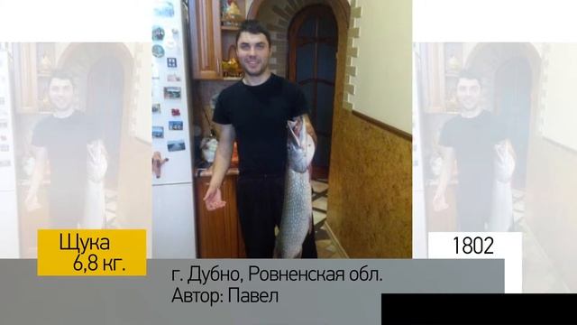 Фотоальбом - Рыбалка №360