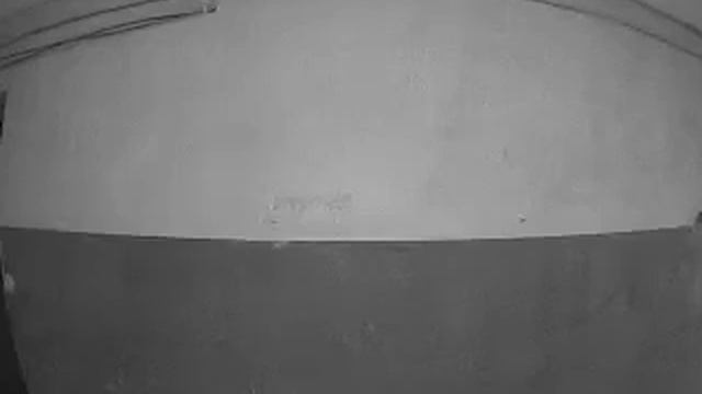 28 июля 2023 г.ушел на работу пришел на обед . дурдом твари и мрази по соседству. смотреть онлайн