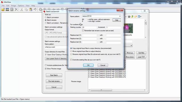 Using Irfanview to Batch Rename Image Files смотреть онлайн