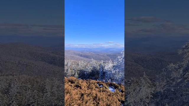 гора Пилахта 1001м 29.10.2022. #пилахта #горапилахта #горы #навершине #хабаровскийкрай #хабаровск смотреть онлайн