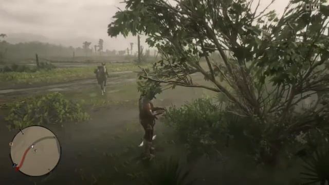Red Dead Easy Money: Pelican, Loon & Spoonbill spawn locations смотреть онлайн