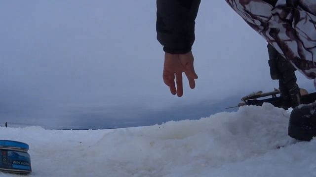 Эта рыба клевала,что и снимать было некогда _ После метели за корюшкой смотреть онлайн