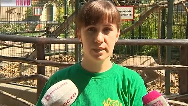 Сразу несколько постоянных жителей зоопарка «Лимпопо» принесли потомство