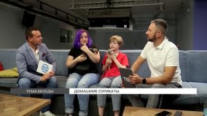 Домашние сурикаты: содержание в квартире