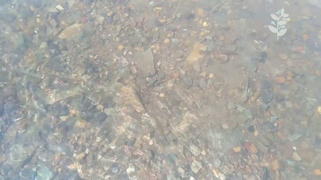 Натальи "огород с любовью"- природа #3. смотреть онлайн