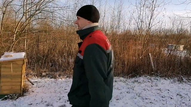 Кормим пчел канди