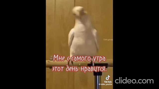 ночью 18.06 1 смотреть онлайн
