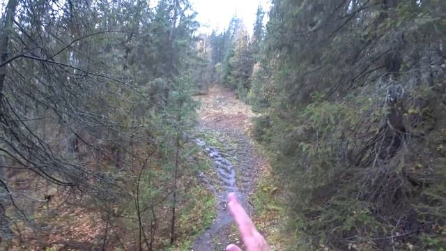 Путешествие к Усьвинским столбам \ ЖД станция Усьва и атмосфера осеннего Урала смотреть онлайн