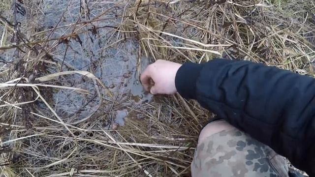 ПОИСК МОНЕТ И КЛАДОВ РУБЛЬ НИКОЛАЯ ЗАРАБОТОК НА КОПЕ TREASURE HUNTERS OF RUSSIA смотреть онлайн