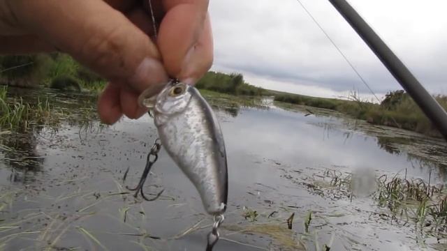 Рыбалка осенью на щуку смотреть онлайн