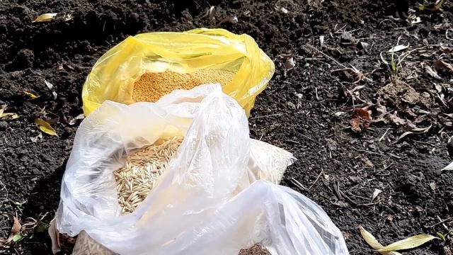 Внесите Горсть в Почву Земля будет как новая. Защита от вредителей и инфекции. смотреть онлайн