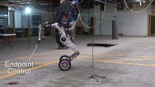 Michio Kaku - Robots, AI & Singularity смотреть онлайн