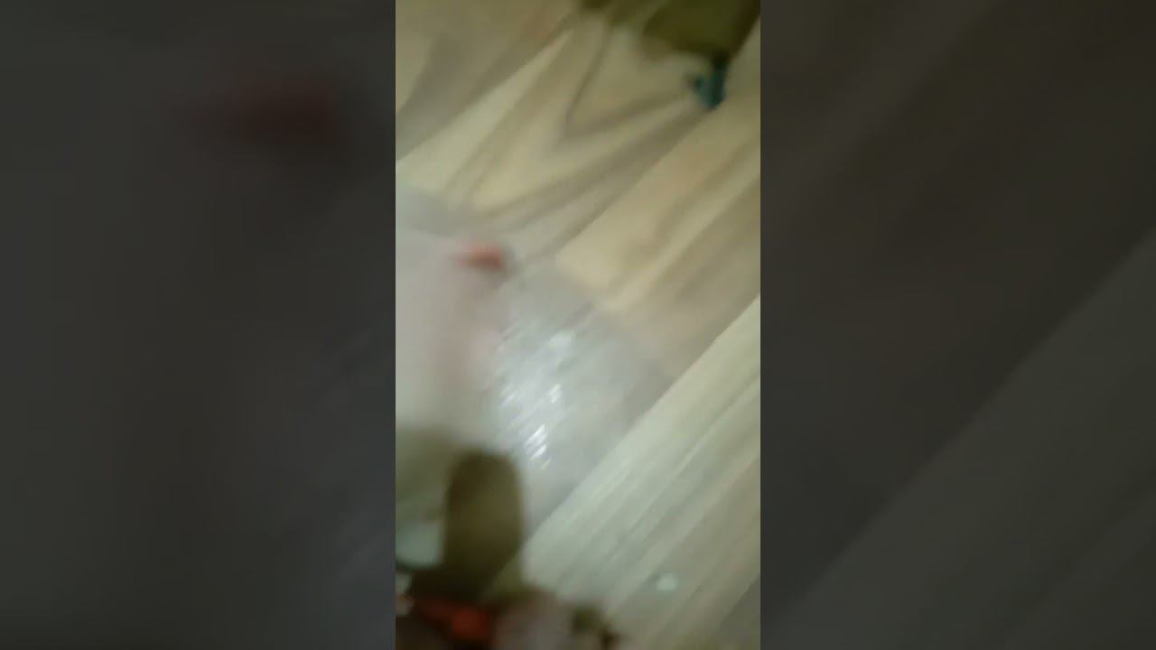 6 февраля 2023 г. смотреть онлайн