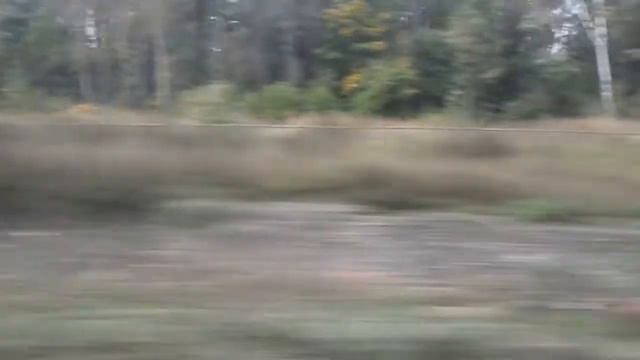 До Владимира на ЭД4М (перегон Болдино - Ундол)