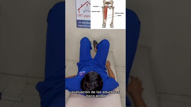 Estira estos músculos para eliminar dolor de cadera #consejo #tips #ejercicio смотреть онлайн