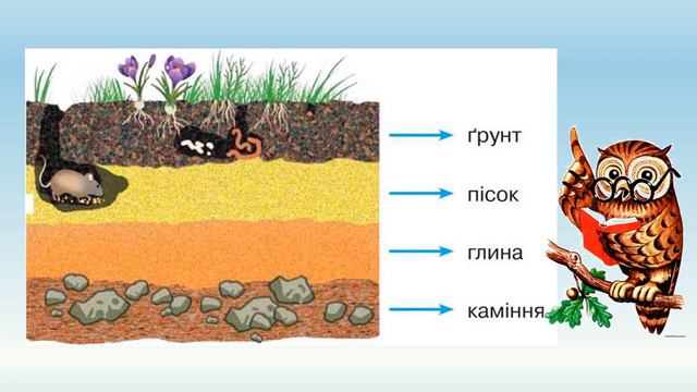 1 клас. Тема "Що означають слова земля і грунт. Який склад має грунт" смотреть онлайн