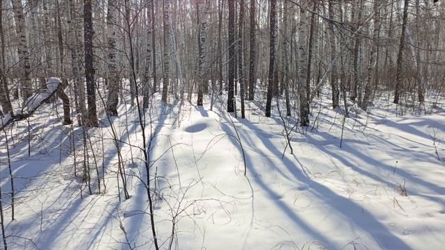 17 ФЕВРАЛЯ Закрытие сезона 2023 2024гг смотреть онлайн