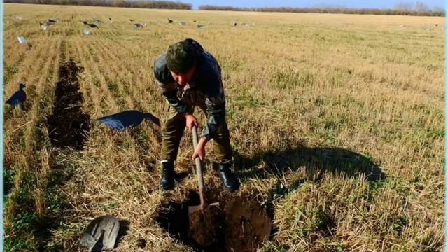 Охота и рыбалка наше всё. смотреть онлайн