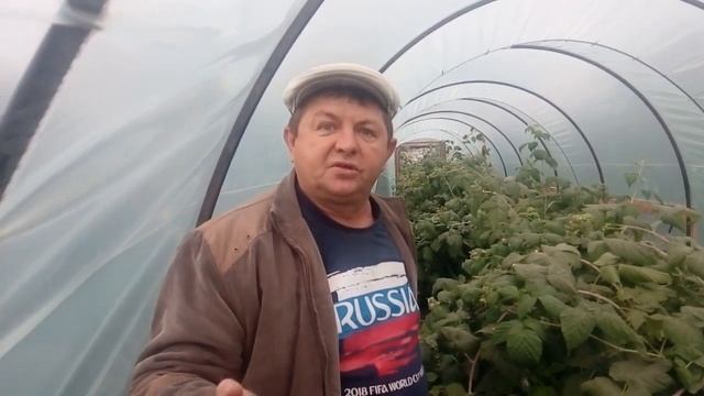 Малина Зюгана в балагане смотреть онлайн