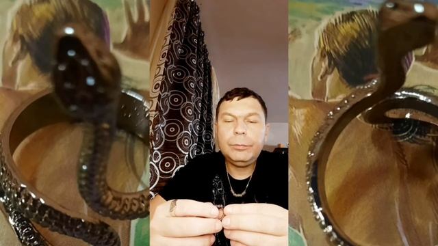Кольцо Змея. Для здоровья, мудрости и энергии Кундалини смотреть онлайн