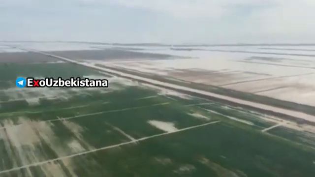 Вода дошла до Казахстана. смотреть онлайн
