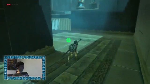 The Legend of Zelda: Breath of the Wild (Master Mode) | Part 08 | Forgotten Memories смотреть онлайн