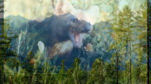 ГИМН БУРЯТИИ