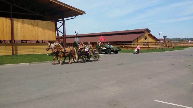 соловая пара лошадей в тачанке Михаила Казенкина смотреть онлайн