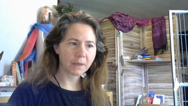 Rooting Red Earth ? focus ?♂️ смотреть онлайн