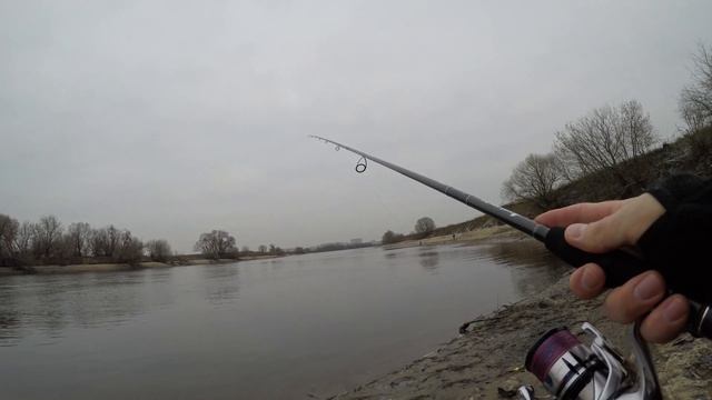 Zetrix Avalanche 802M