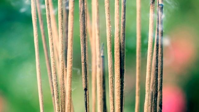 Wahe Guru Sat Nam Ji смотреть онлайн