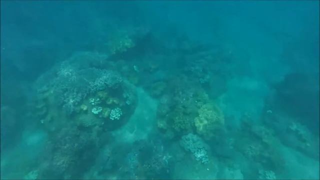 Jonas & Thuan in Vietnam #7 смотреть онлайн