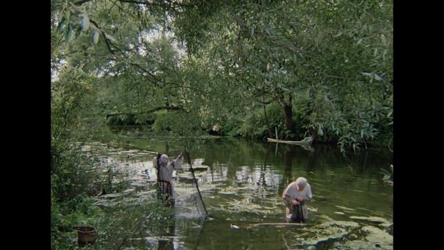 50) сик транзит глория мунди смотреть онлайн