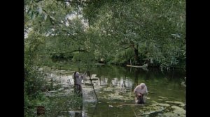 50)  сик транзит глория мунди