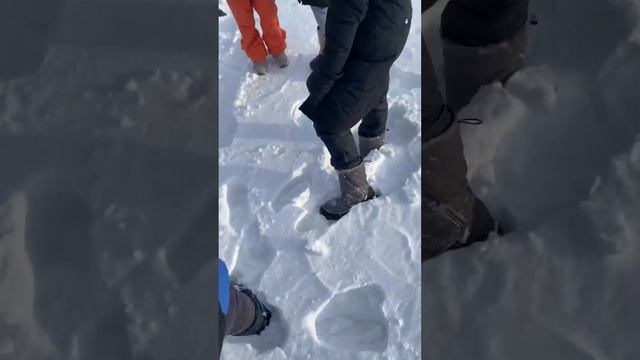 Мой День Рождения смотреть онлайн