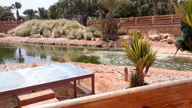 Agadir Crocodile Park (CrocoParc Agadir) Morocco смотреть онлайн