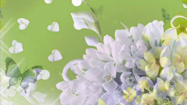 Sharon Gerber - Wings of Morning смотреть онлайн