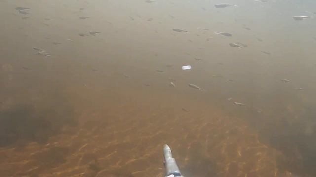 подводная охота смотреть онлайн