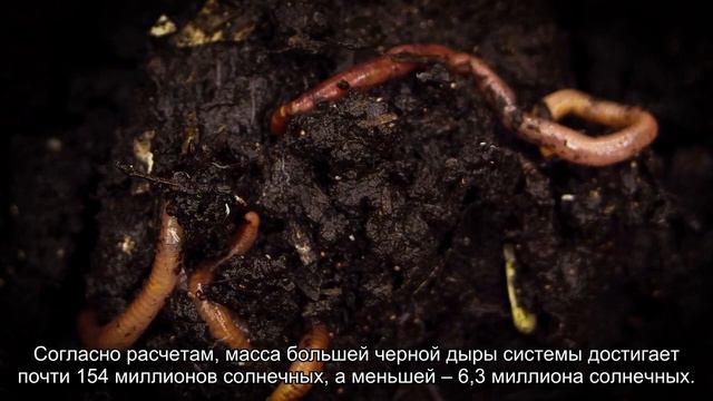 Открыта ближайшая к Земле пара сверхмассивных черных дыр смотреть онлайн